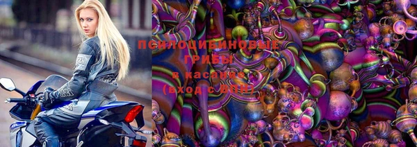 прущие крисы Алзамай