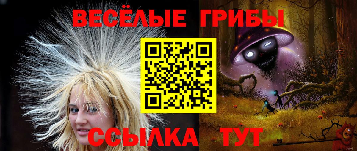 Батайск  Псилоцибиновые грибы GOLDEN TEACHER  Вход с VPN 