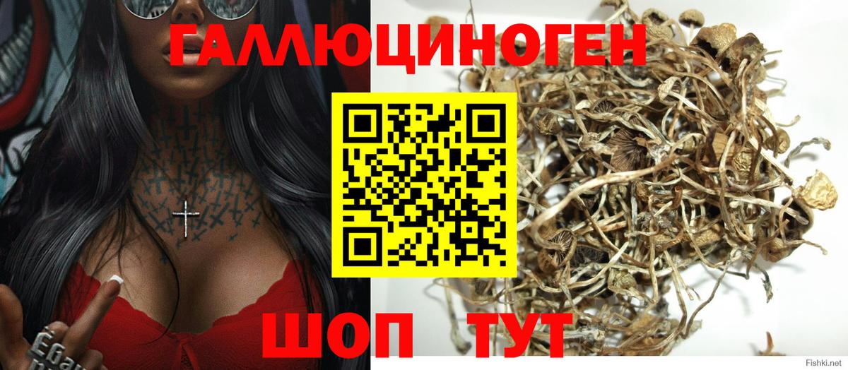 Псилоцибиновые грибы Magic Shrooms Батайск