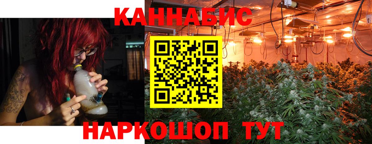 Марихуана планчик  Каннабис White Widow  Вход с VPN  Батайск  Канабис Bruce Banner 